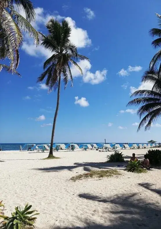 Carpas de playa azul y blanco bajo palmeras en San Andrés