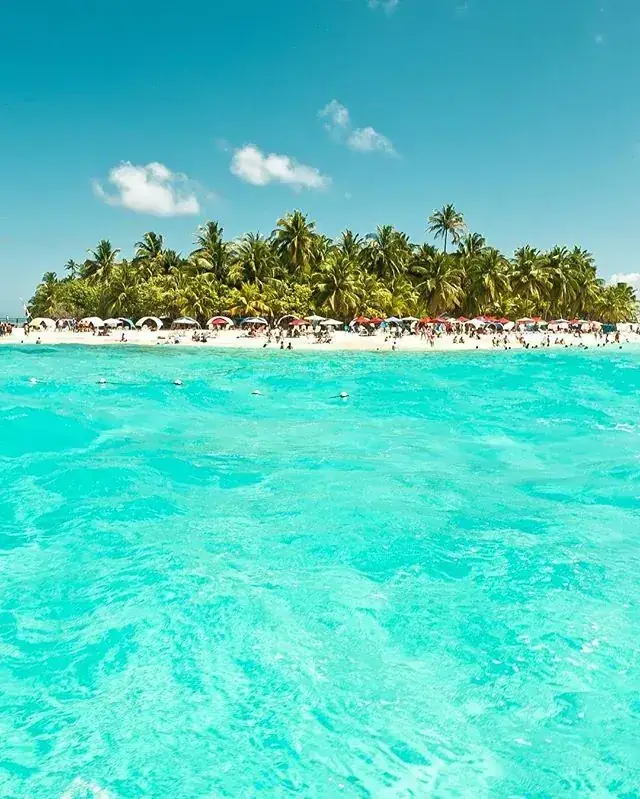 Agua turquesa y palmeras en Johnny Cay, San Andrés